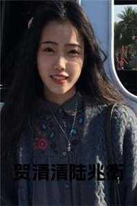 贺清清陆兆衡结局番外