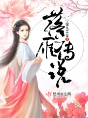 落雁指的是谁的故事