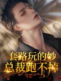 总裁跑不掉未删版