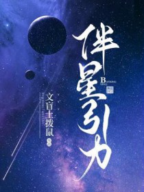 伴星引力by文盲免费阅读