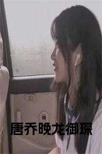 龙御琛唐乔晚孩子