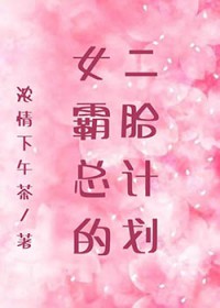 女霸总的二胎计划免费观看