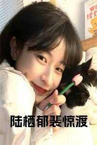裴年照陆锦瑟