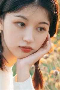 许流年苏轻语官场