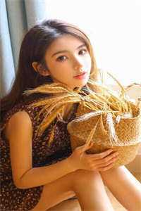 顾锋叶宁军婚