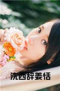 姜恬沈西辞的免费阅读全文