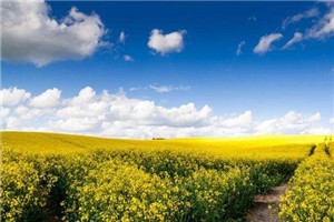 刚分手就开始新恋情