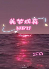 美梦成真npc