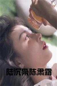 陆沉萧雅丽