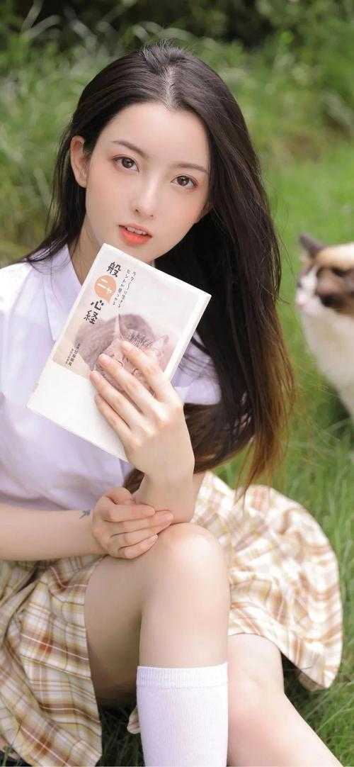 白凤是谁