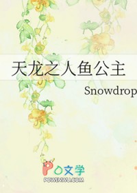 天龙之人鱼公主 百度