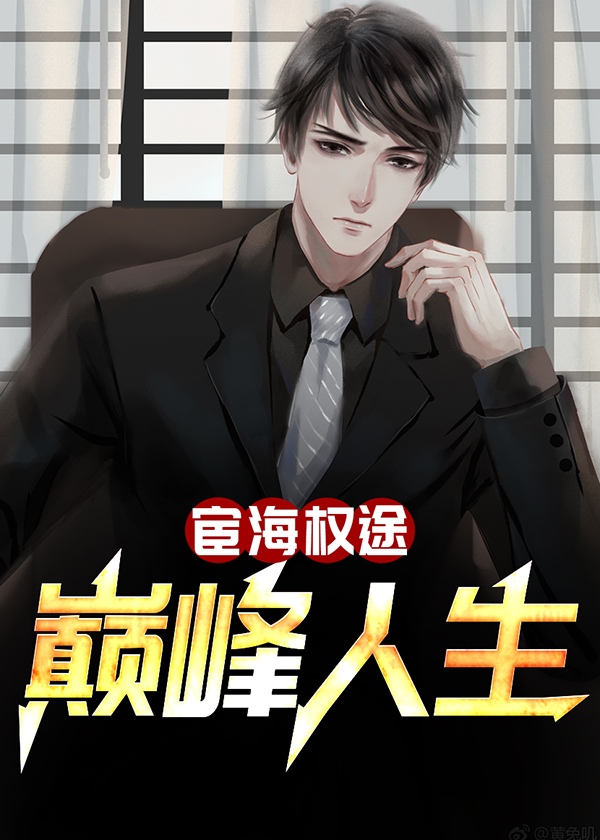 宦海权途巅峰人生t