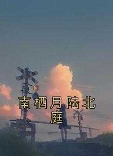 南栖月陆北庭换心脏的背景故事详解