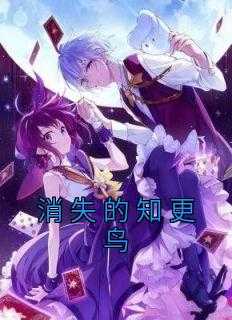 消失的知更鸟全文免费阅读
