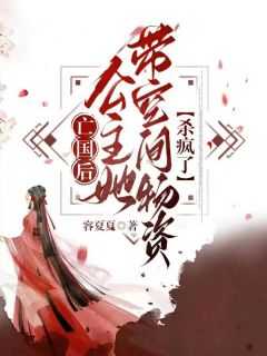 女主是亡国公主的