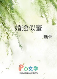 婚途似锦阅读全文