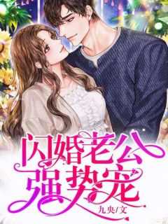 叶向晚陆晋南免费阅读