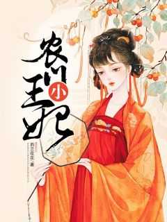 农门王妃免费阅读