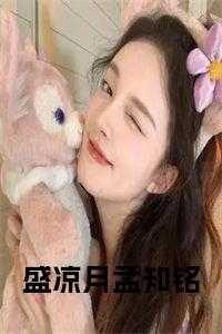 盛寒夜孟初夏盛寒深免费阅读