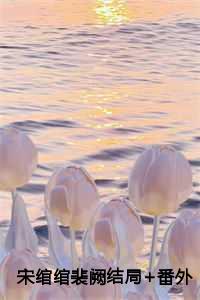 裴阙宋绾绾最新章节更新情况