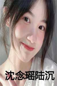 沈念瑶陆沉著