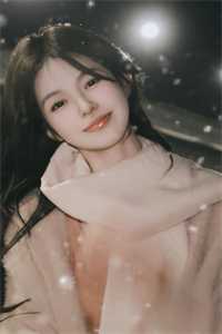 婚约已至总裁求娶1001次 淡月新凉