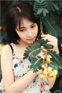 闻溪什么意思