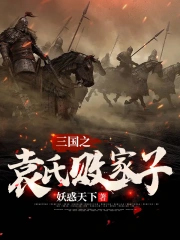 三国之袁家三子