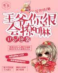 王爷轻点宠