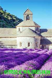 男主叫宋锦成的