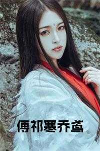乔鸢傅祁寒北城