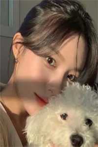沈辞许卿如楼心月短剧