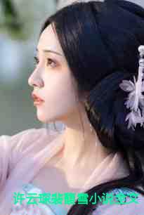 许云琛裴馥雪裴母死后后续