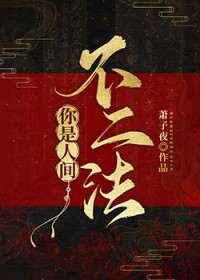 你是人间不二法TXT资源