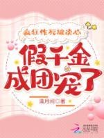 沈迟月路岑年
