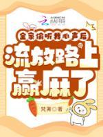 苏米宝苏镇北