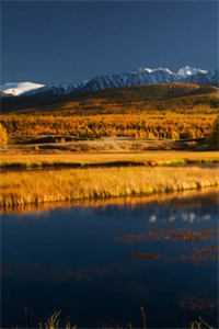 我生病了不想要你了