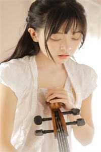 陆晨白婉月柳韵
