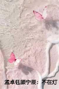 不在灯火阑珊处顾宁辰孟卓钰全文第21章