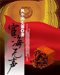 宦海无声正版资源