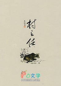 村主任学历要求