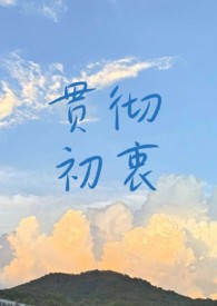 贯彻初衷txt