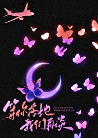 等你落地我们再谈免费观看