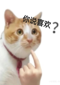 h) / 姜伊柔