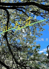 小梨花(校园h nbsp; nbsp;1V1)