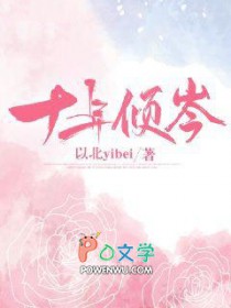 十年倾岑亲密章节数