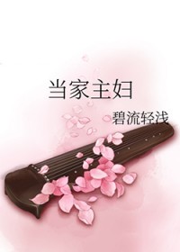 当家主妇长篇