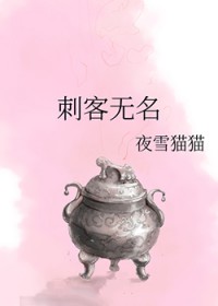 刺客无名讲了什么