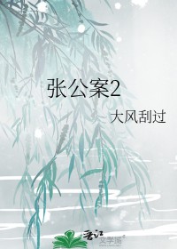 张公案2瓷公子