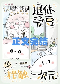 退休爱豆少接触二次元txt